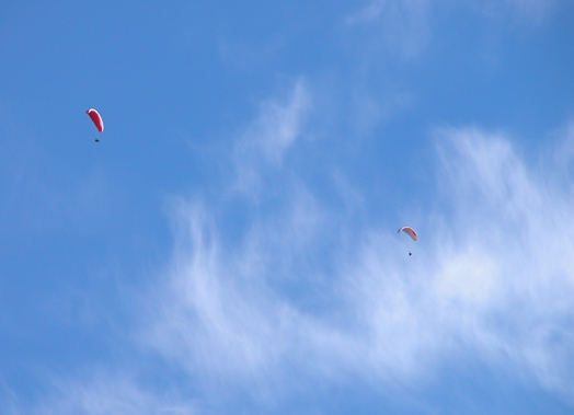 Parasailers in Jackson