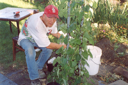 Christopher tends his beans